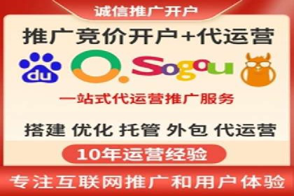 网络推广秘籍：竞价排名成功案例集锦